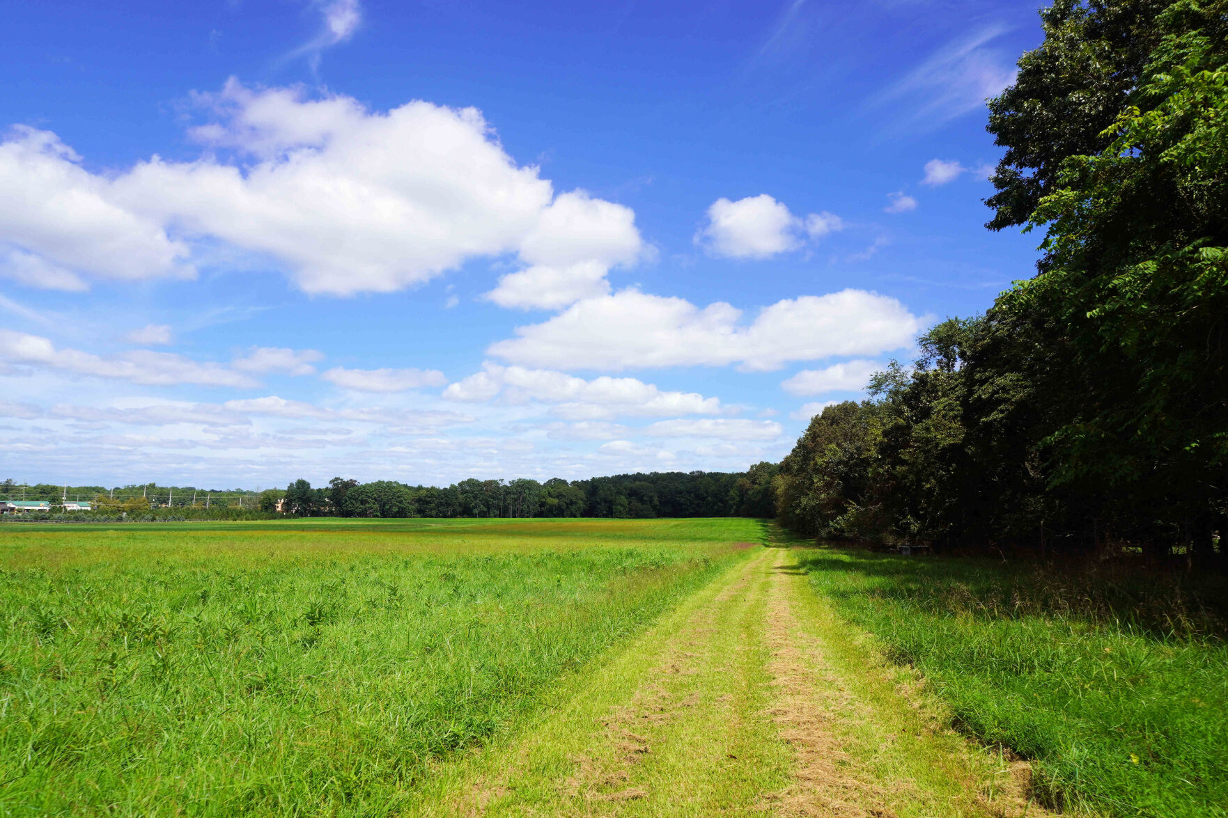 XXX STAFFORD ROAD NAB01894.JPG
